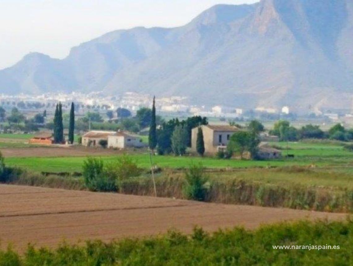 Sale - Land - Callosa del Segura - Callosa De Segura