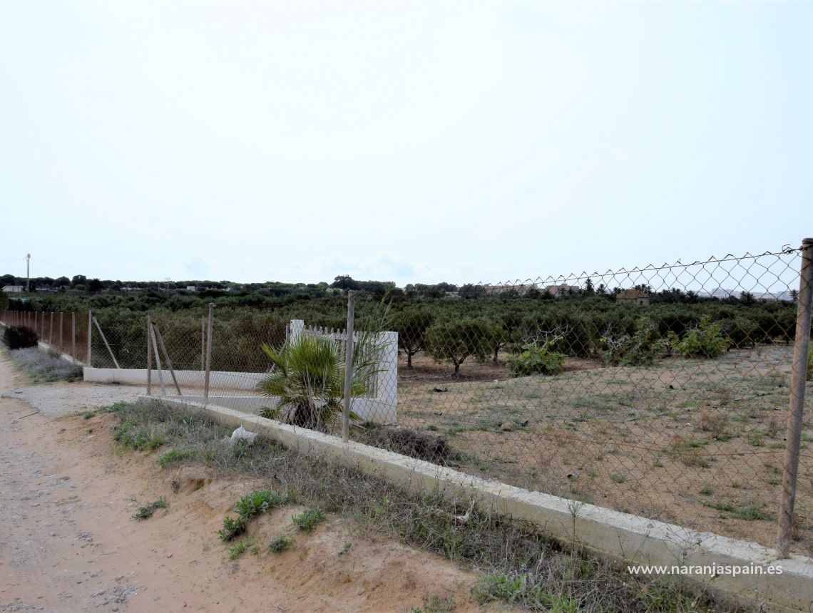 Sale - Land - Guardamar del Segura - Urb. Lomas del Polo