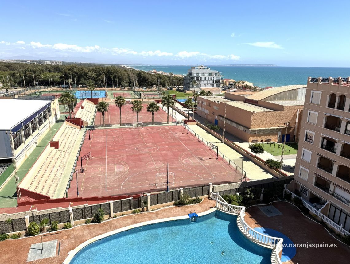 Sale - Penthouses - Guardamar del Segura - Beach Guardamar