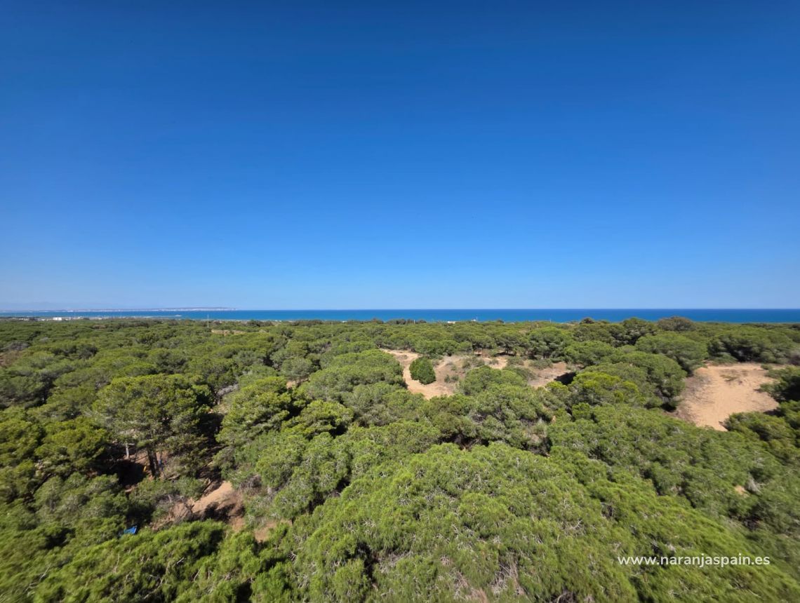 Sale - Penthouses - Guardamar del Segura - Pineforest