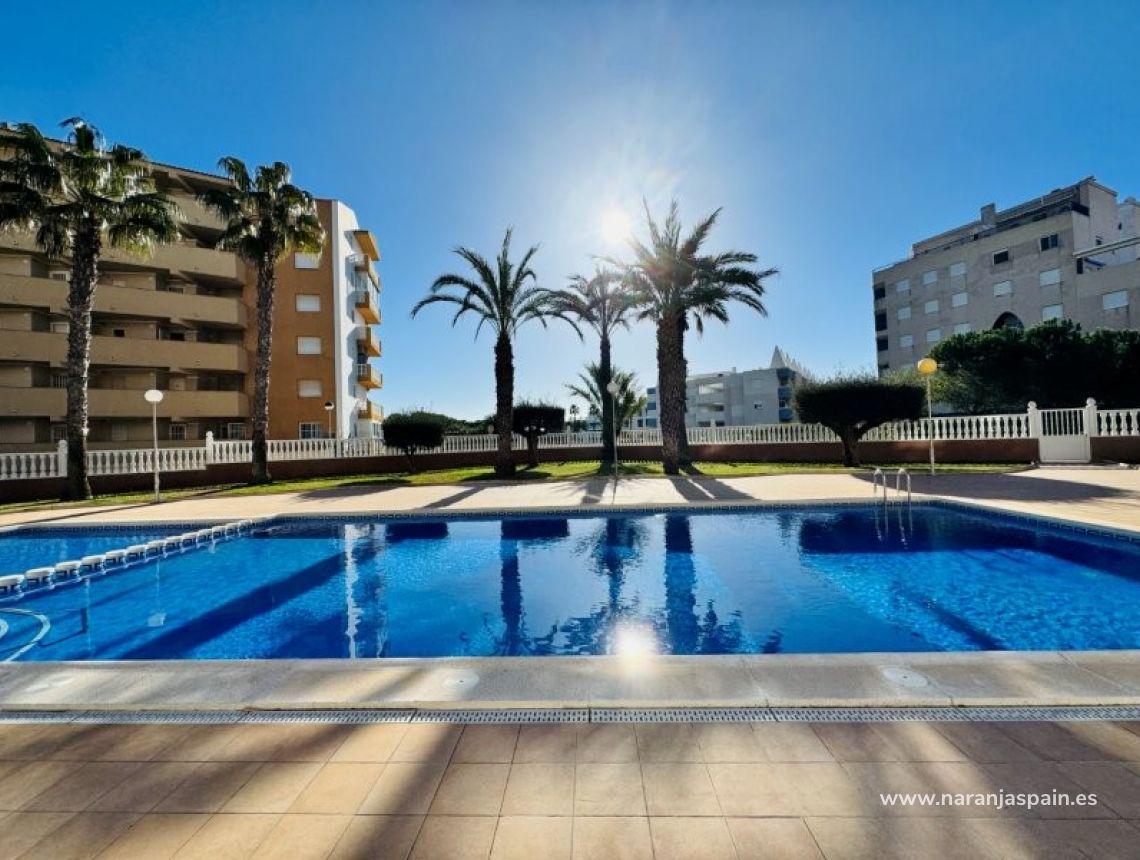 Sale - Penthouses - La Mata, Torrevieja - Alanis
