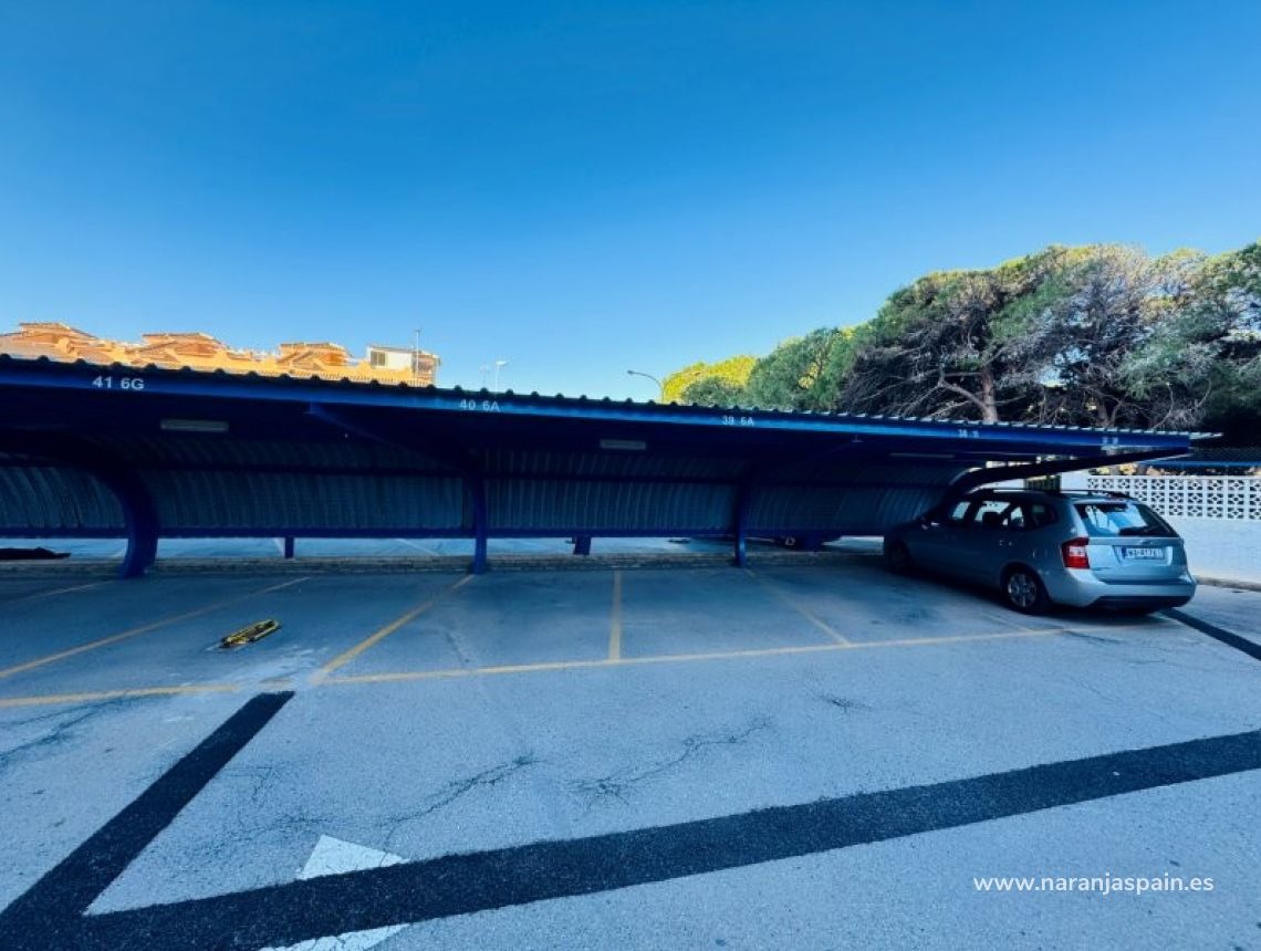 Sale - Penthouses - La Mata, Torrevieja - Alanis