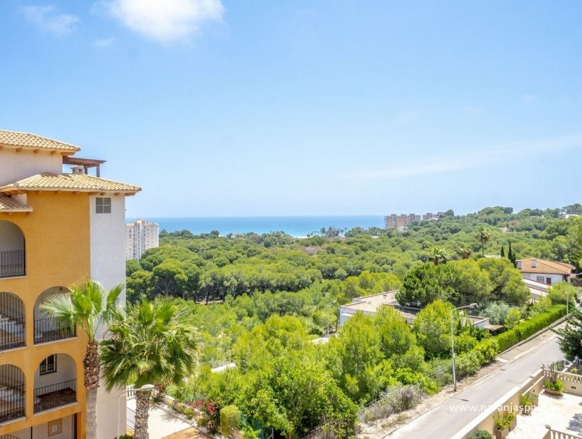 Sale - Penthouses - Orihuela Costa - Campoamor