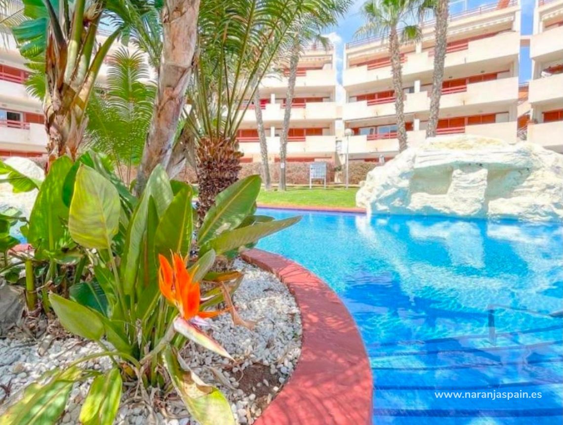 Sale - Takvåning - Orihuela Kusten - Punta Prima