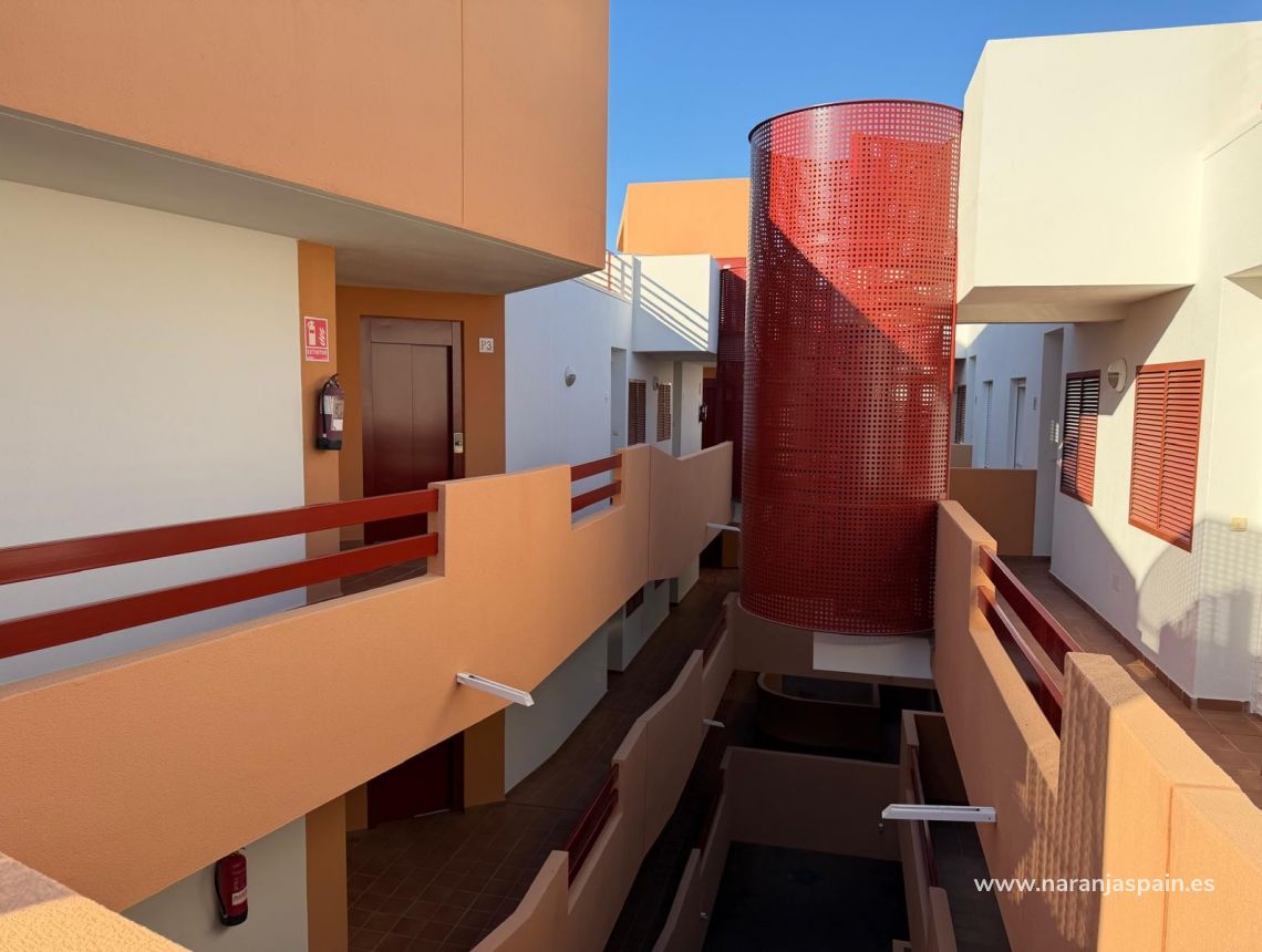 Sale - Takvåning - Orihuela Kusten - Punta Prima