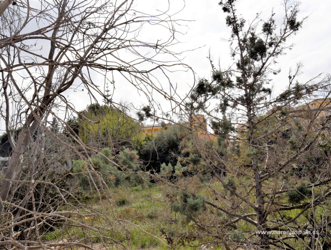 Sale - Вила - Формантера дель Сегура - Formentera del Segura