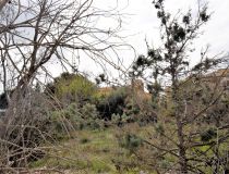 Sale - Вила - Формантера дель Сегура - Formentera del Segura