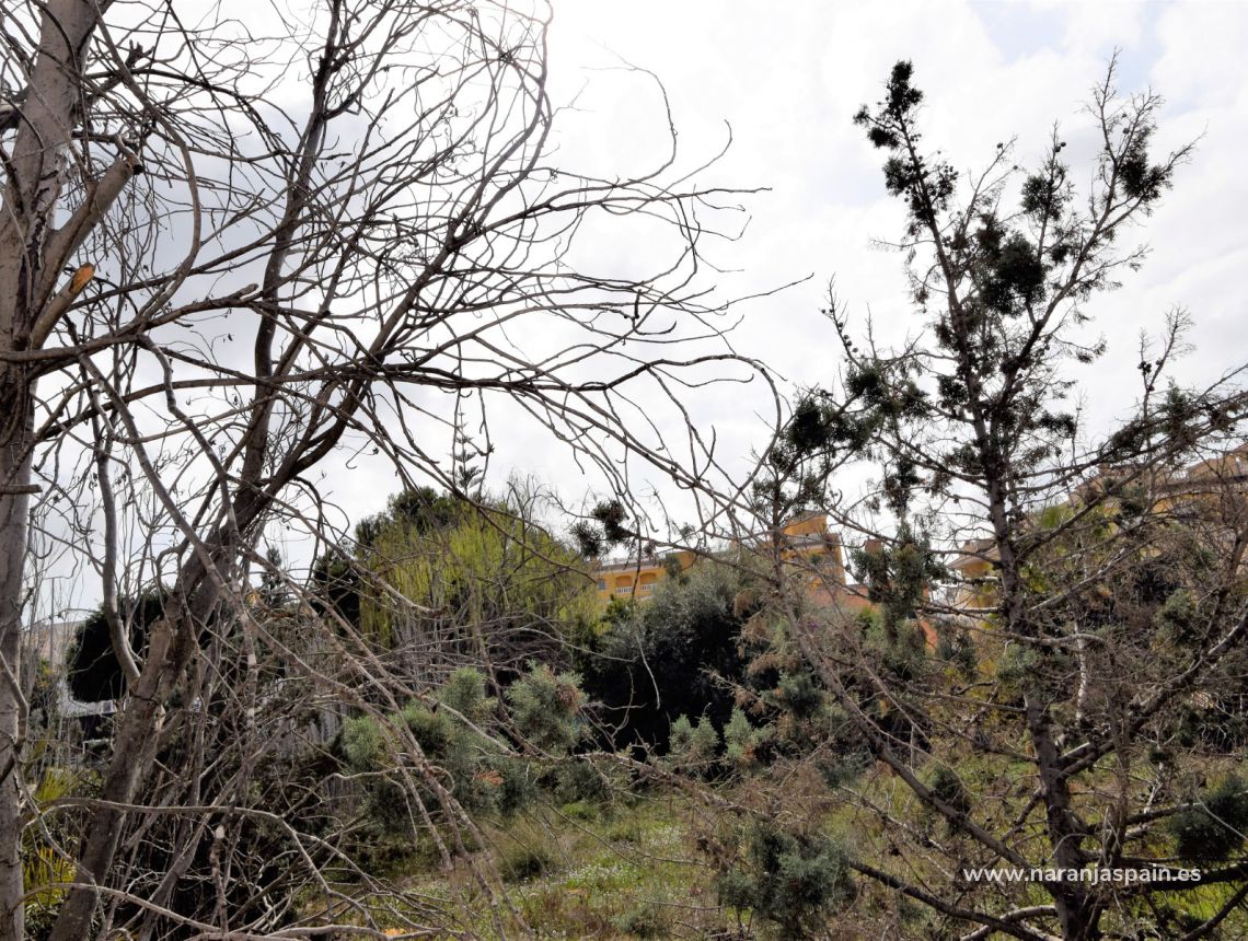 Sale - Вила - Формантера дель Сегура - Formentera del Segura