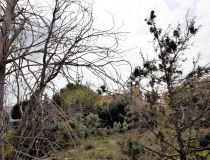 Sale - Вила - Формантера дель Сегура - Formentera del Segura