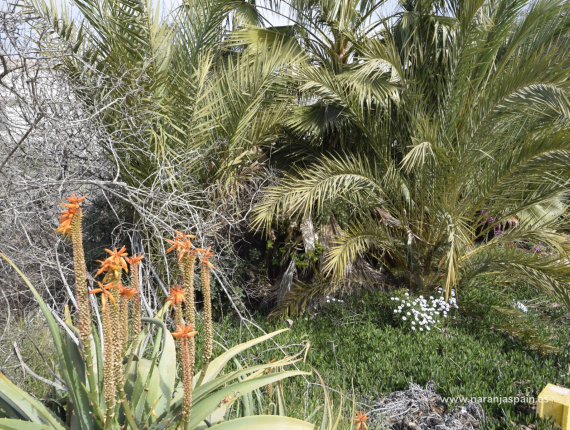 Sale - Вила - Формантера дель Сегура - Formentera del Segura