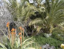 Sale - Вила - Формантера дель Сегура - Formentera del Segura