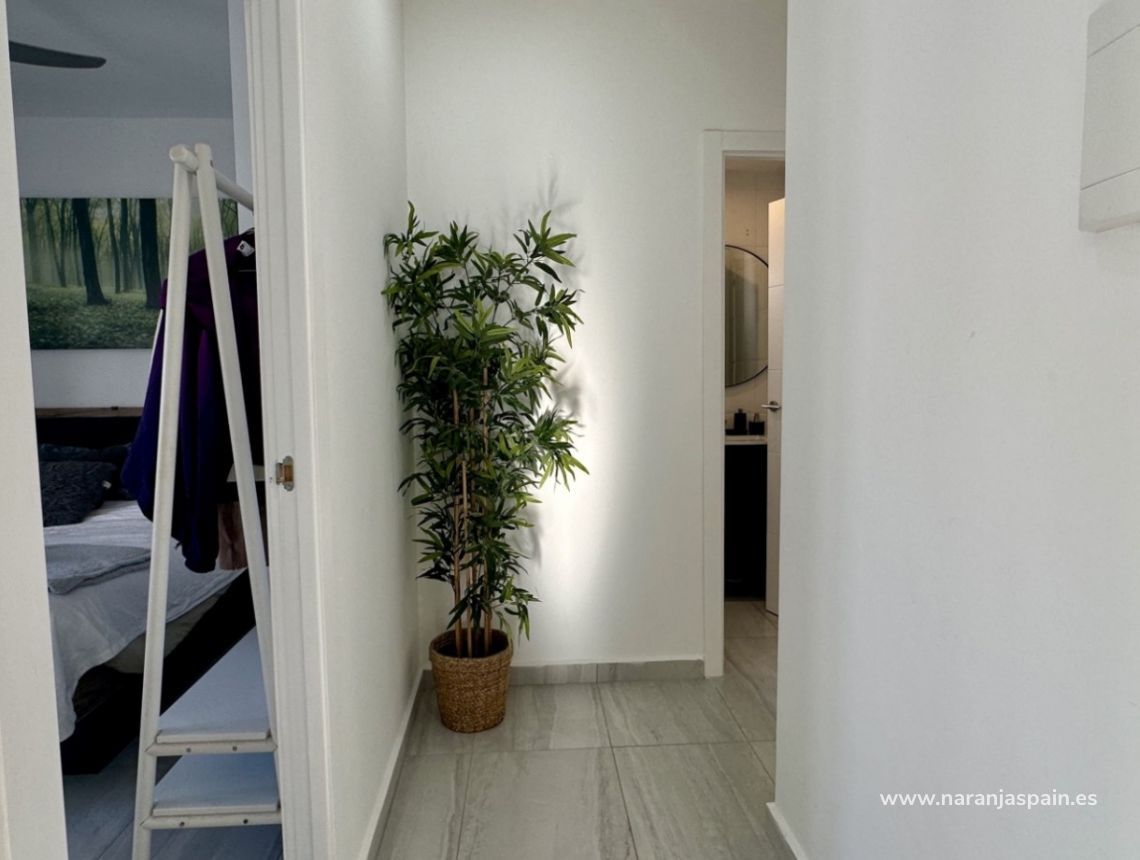 Sale - Vila - Rojales - Ciudad Quesada