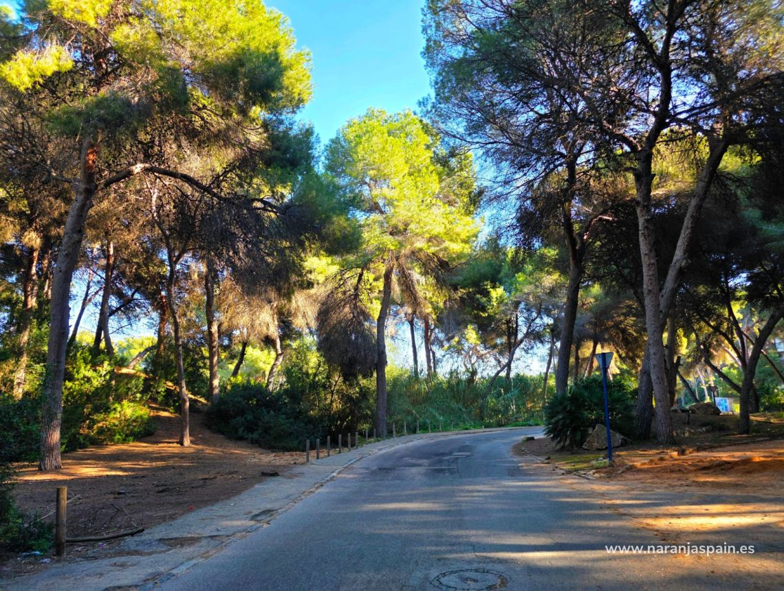 Sale - Vila - Torrevieja - Cabo Cervera