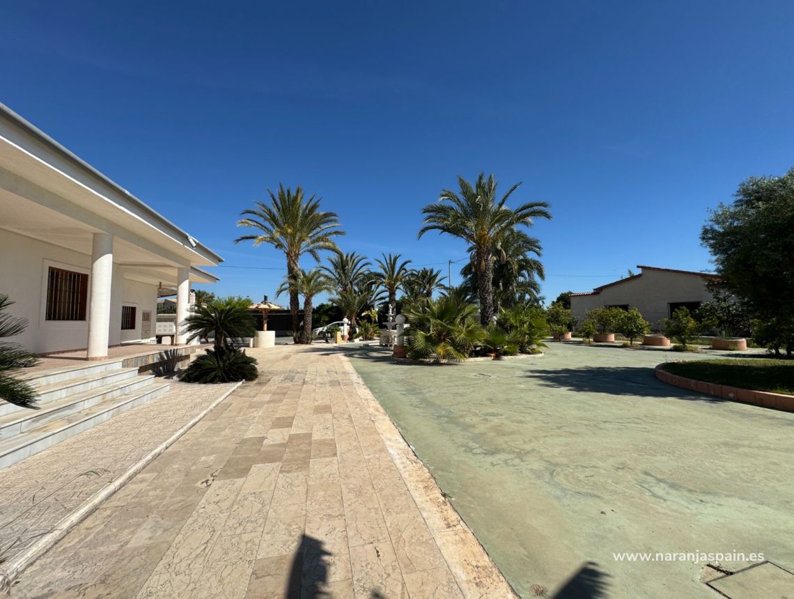 Sale - Villa - Elche - Valverde