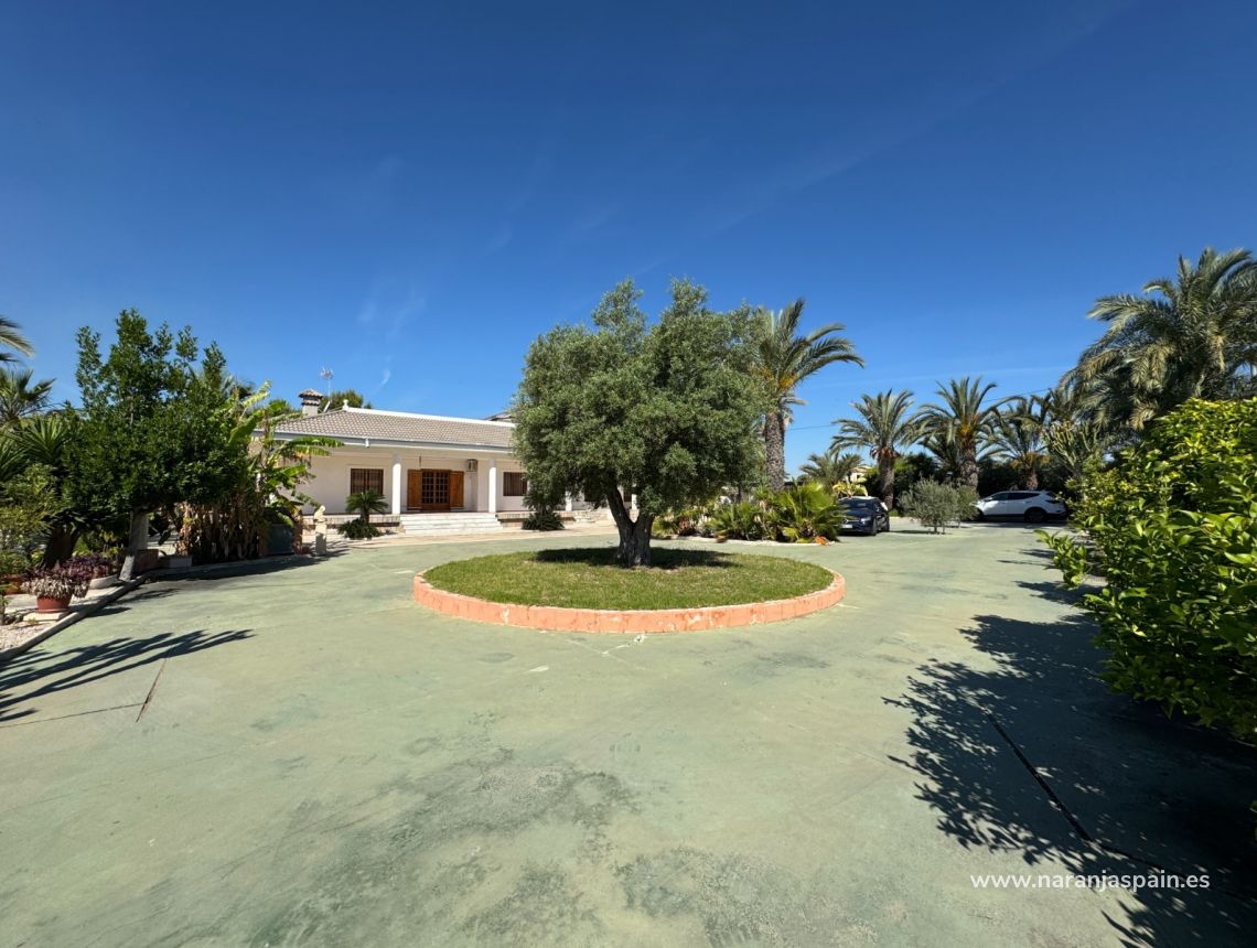 Sale - Villa - Elche - Valverde