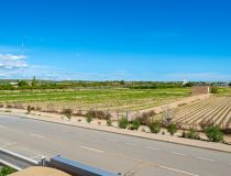 Sale - Villa - Guardamar del Segura - Urb. El Raso