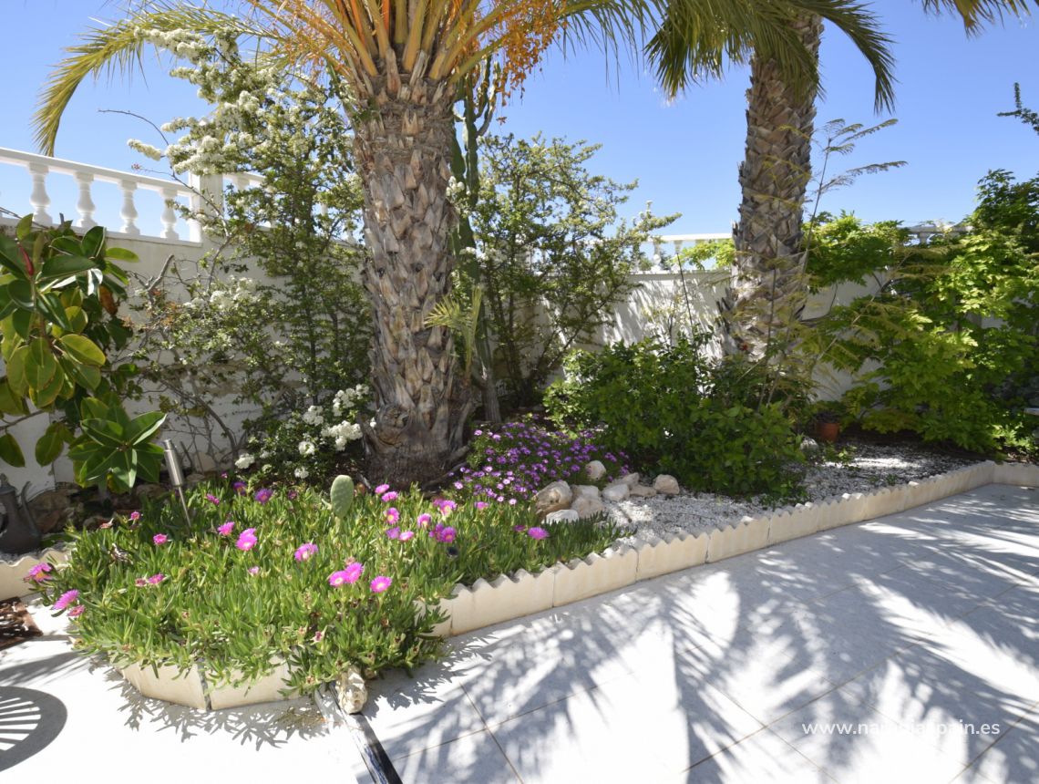 Sale - Villa - Rojales - Urb. Lo Pepin