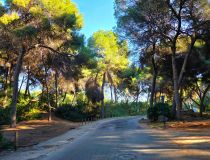 Sale - Villa - Torrevieja - Cabo Cervera