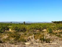 Segunda Mano - Adosado - Guardamar del Segura - El Moncayo