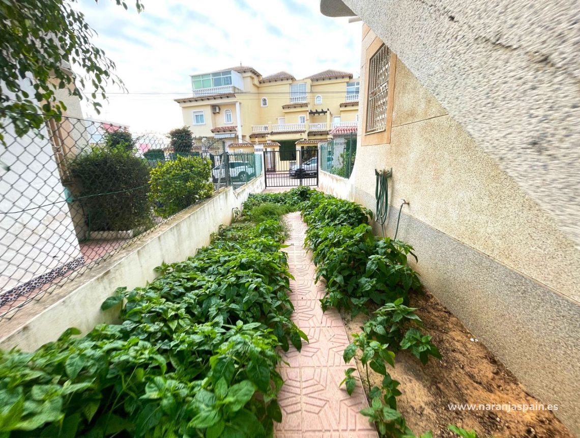 Segunda Mano - Apartamento - Guardamar del Segura - El Moncayo