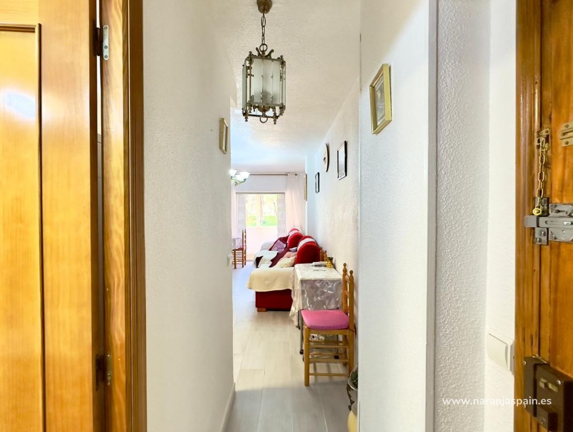 Segunda Mano - Apartamento - Guardamar del Segura - Guardamar