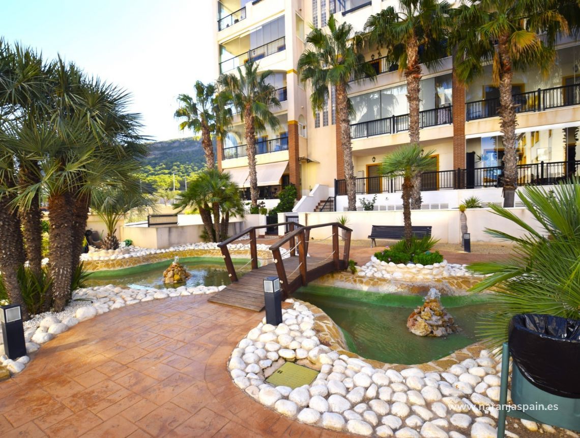 Segunda Mano - Apartamento - Guardamar del Segura - Guardamar