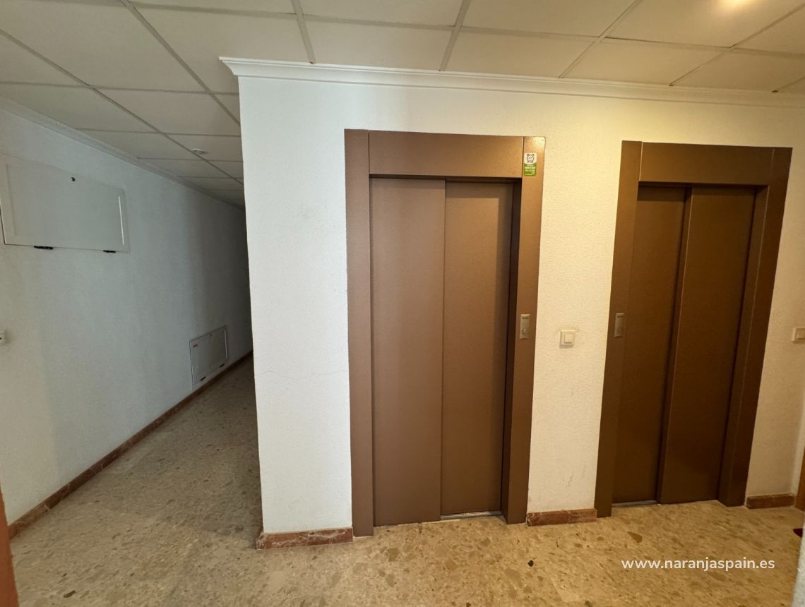 Segunda Mano - Apartamento - Guardamar del Segura - Parque Sur 