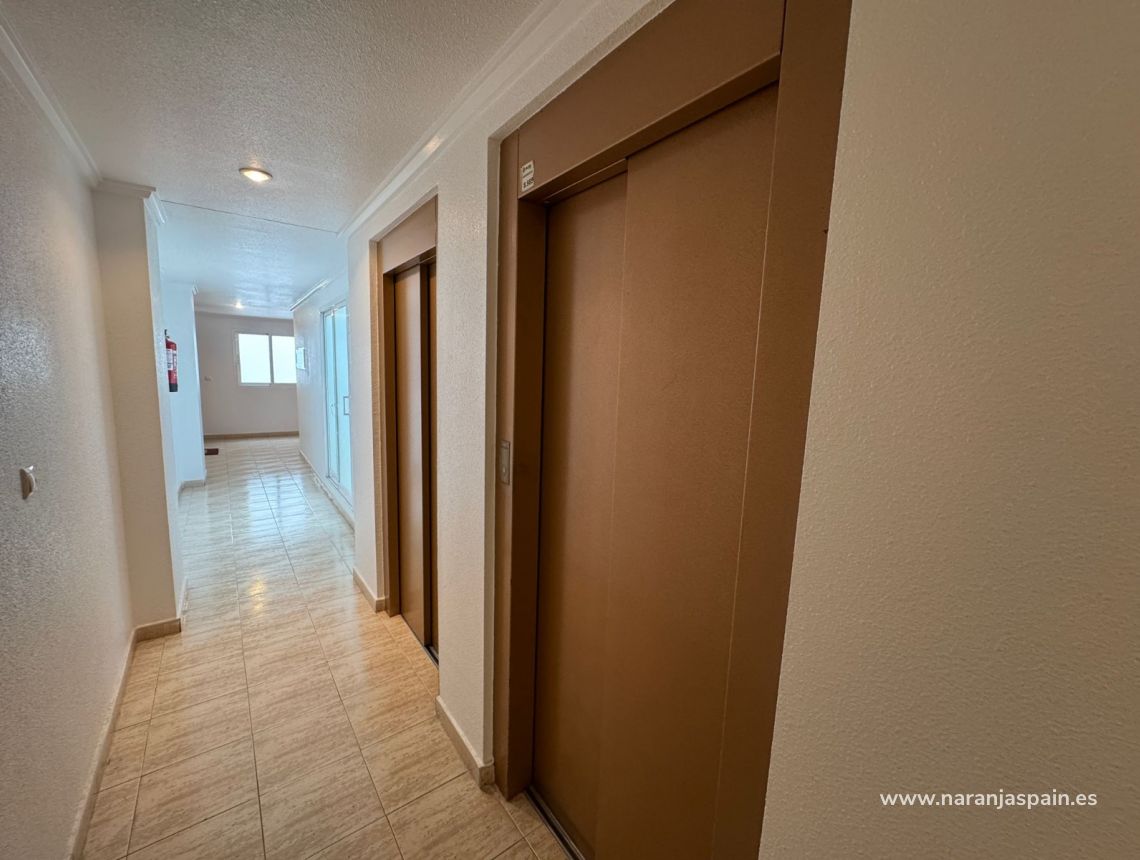 Segunda Mano - Apartamento - Guardamar del Segura - Pinada