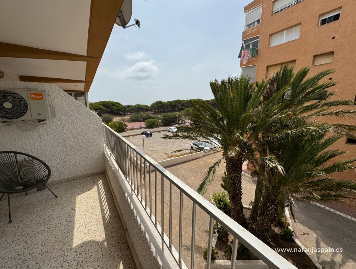 Segunda Mano - Apartamento - Guardamar del Segura - Pinomar