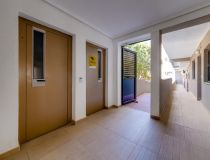 Segunda Mano - Apartamento - Guardamar del Segura - Pinomar