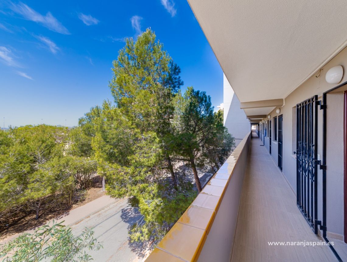 Segunda Mano - Apartamento - Guardamar del Segura - Pinomar