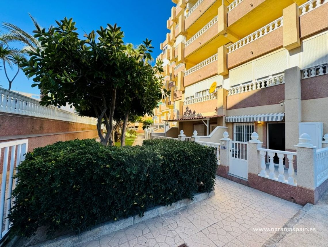 Segunda Mano - Apartamento - La Mata, Torrevieja - Alanis