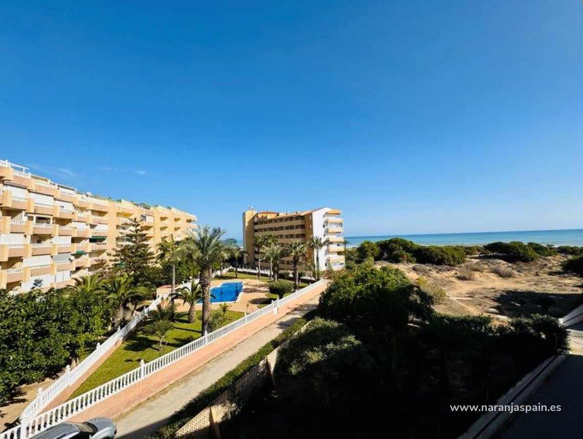 Segunda Mano - Apartamento - La Mata, Torrevieja - La Mata