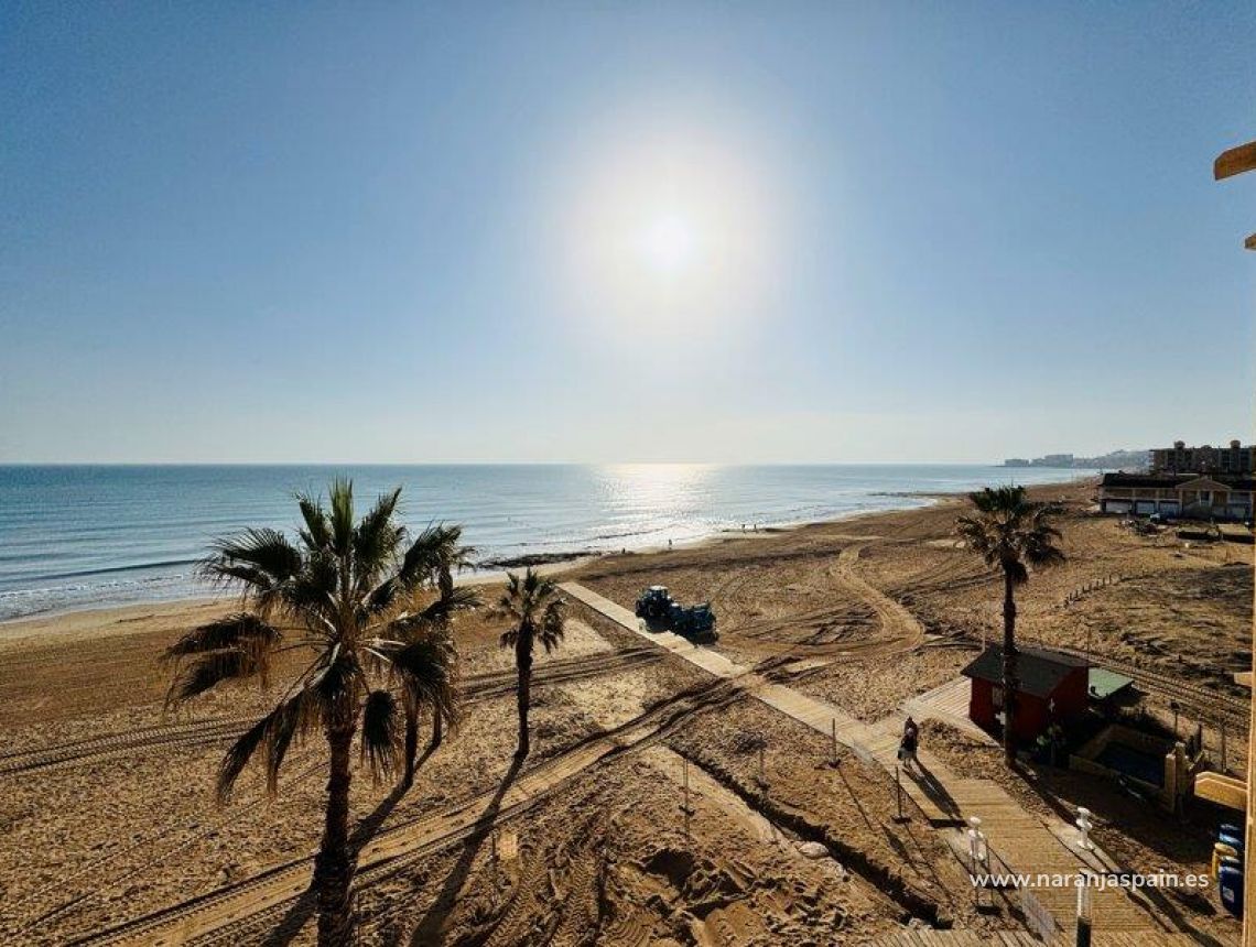 Segunda Mano - Apartamento - La Mata, Torrevieja - La Mata