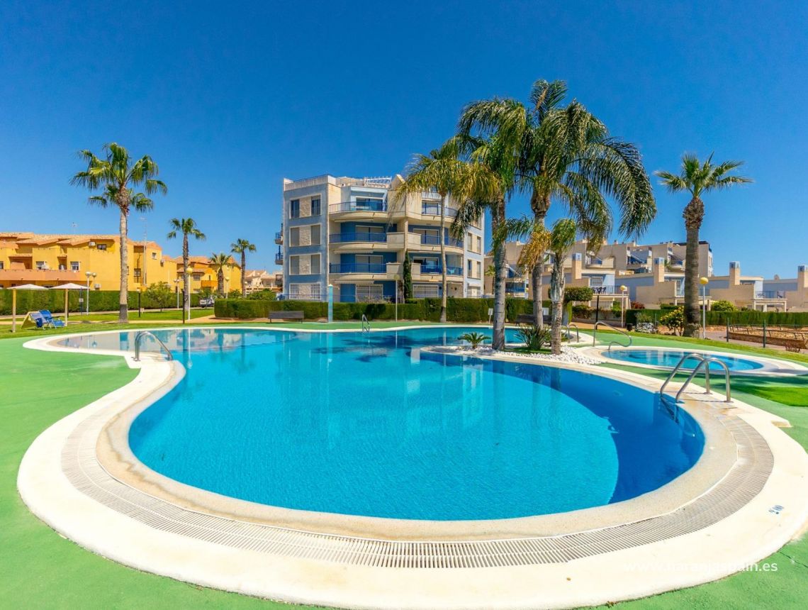 Segunda Mano - Apartamento - Orihuela Costa - Campoamor