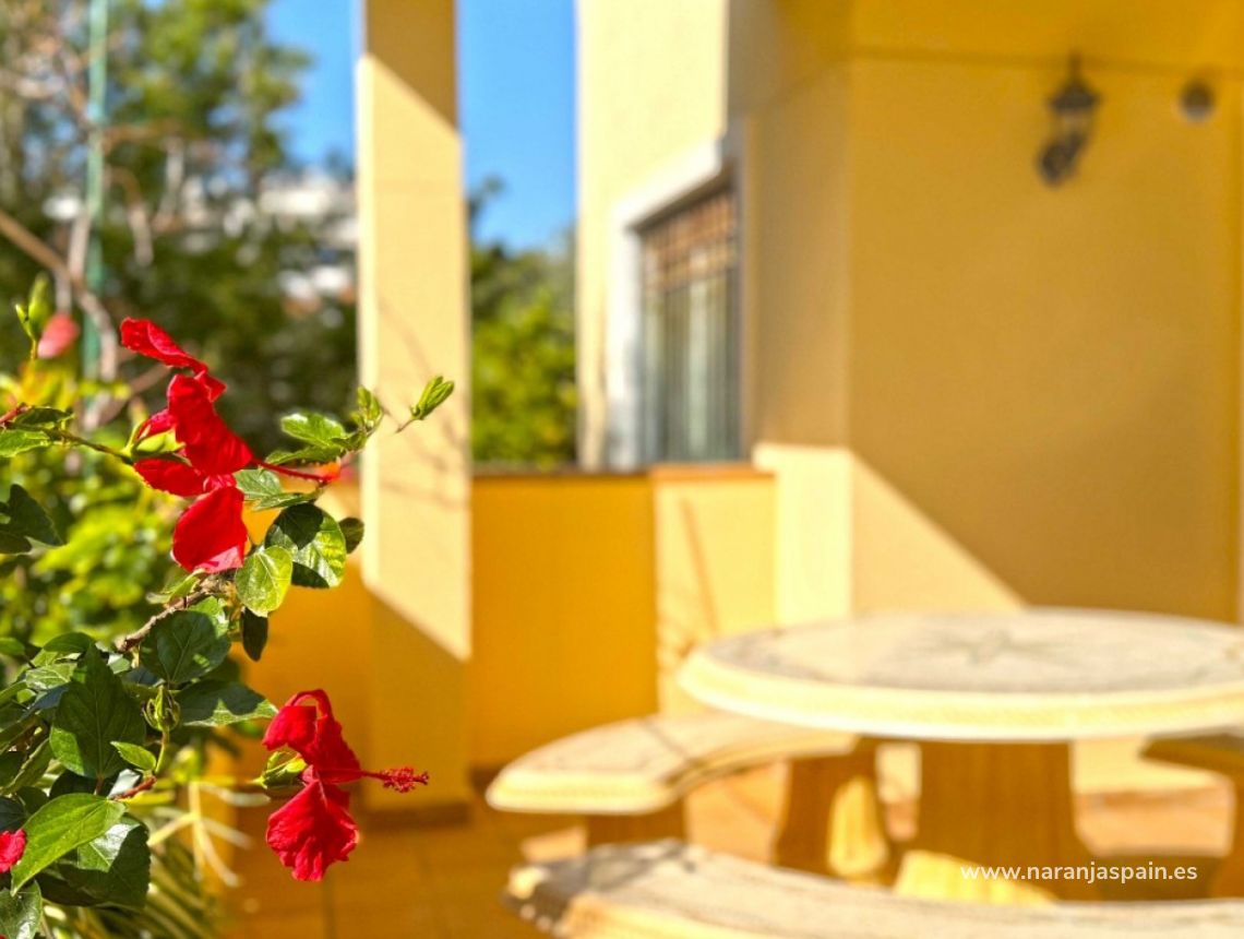 Segunda Mano - Apartamento - Orihuela Costa - Lomas de Campoamor