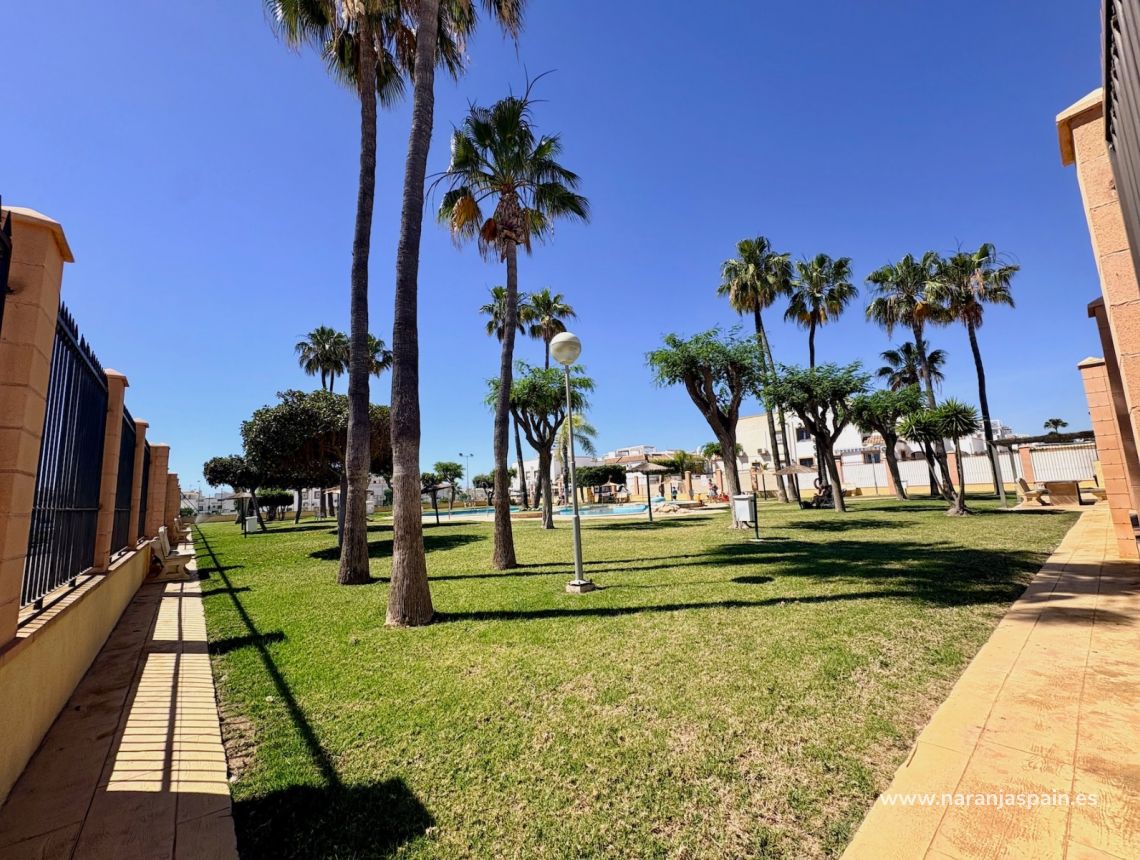Segunda Mano - Apartamento - Orihuela Costa - Playa Flamenca