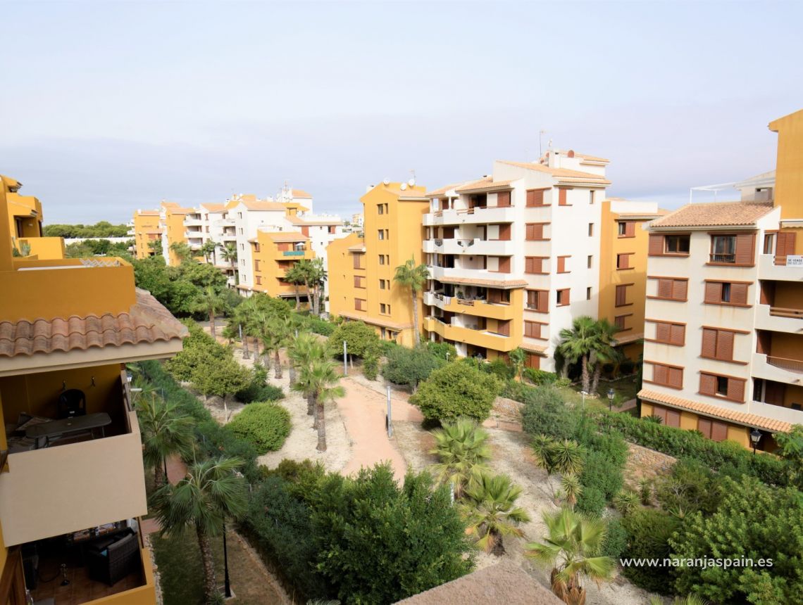 Segunda Mano - Apartamento - Orihuela Costa - Punta Prima