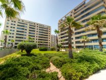 Segunda Mano - Apartamento - Punta Prima