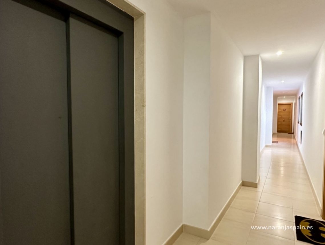 Segunda Mano - Apartamento - San Miguel de Salinas