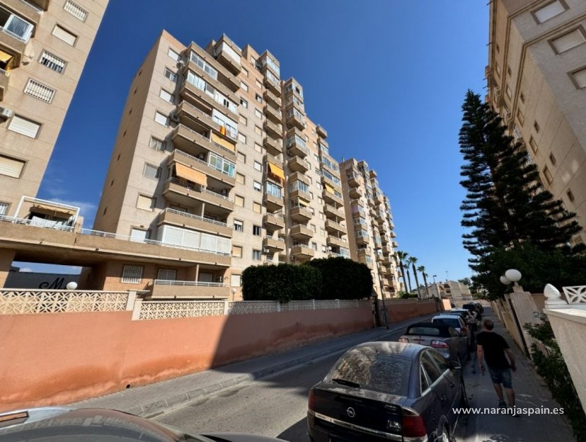 Segunda Mano - Apartamento - Torrevieja - Aguas nuevas 1