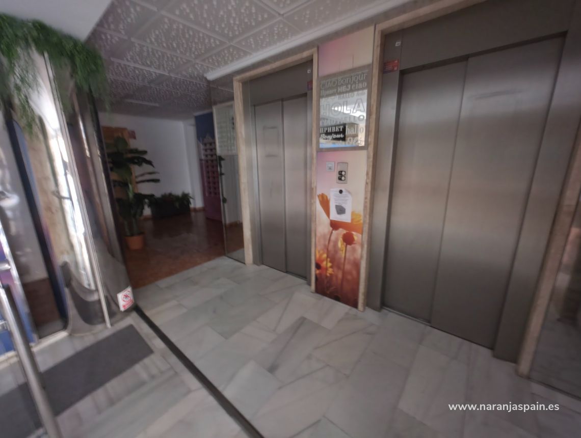 Segunda Mano - Apartamento - Torrevieja - Curva del Palangre