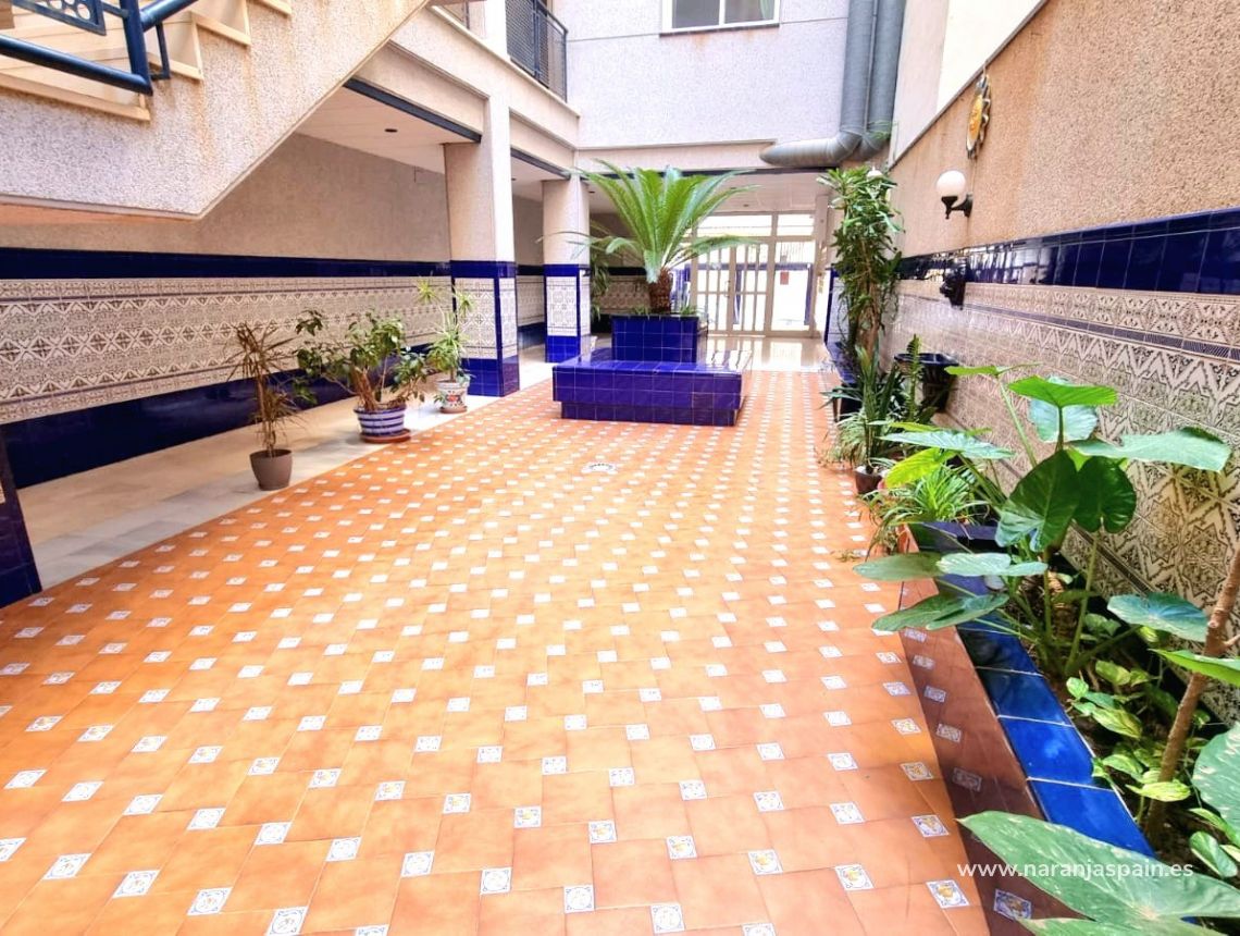 Segunda Mano - Apartamento - Torrevieja - Curva del Palangre