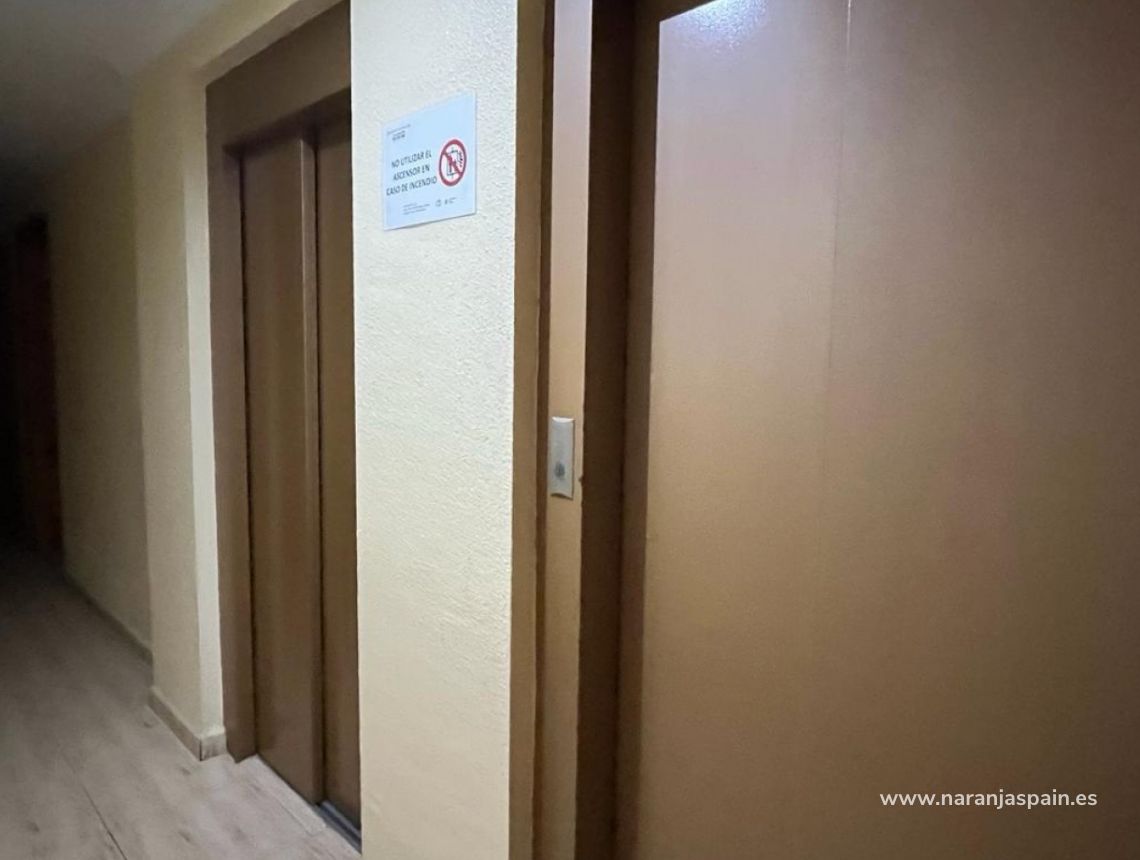 Segunda Mano - Apartamento - Torrevieja