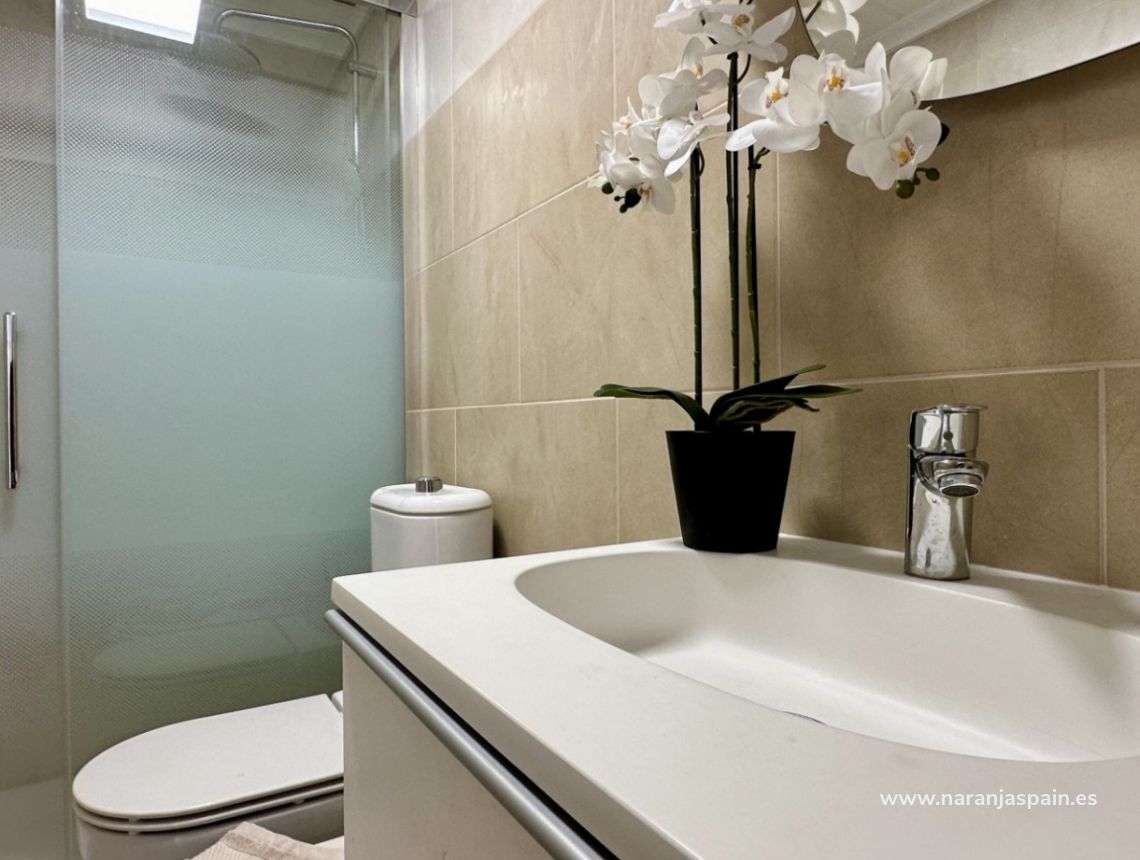 Segunda Mano - Apartamento - Torrevieja