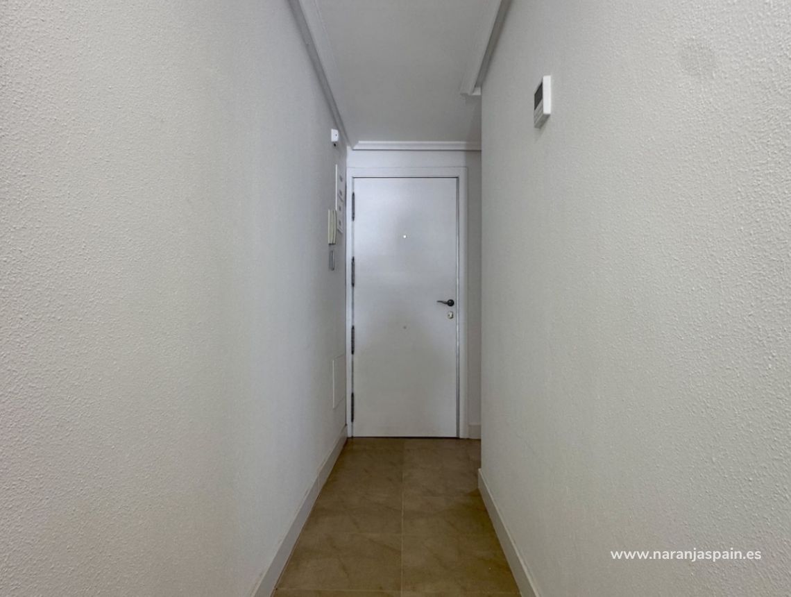 Segunda Mano - Apartamento - Torrevieja