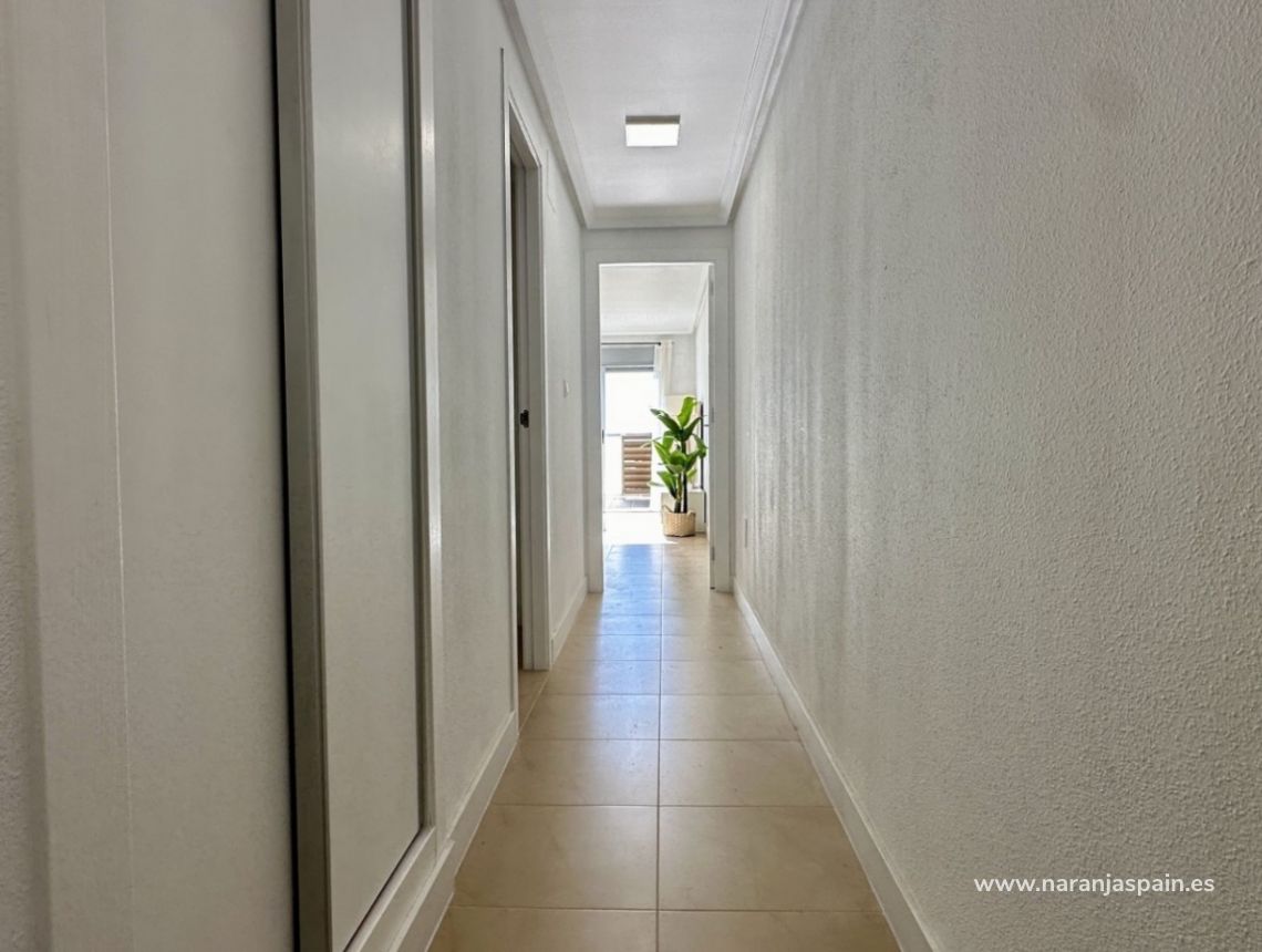 Segunda Mano - Apartamento - Torrevieja