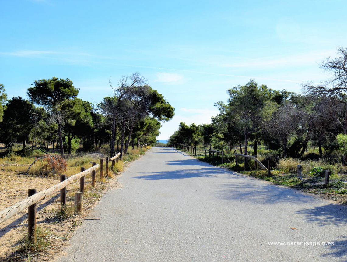 Segunda Mano - Ático - Guardamar del Segura - Urb. Lomas del Polo