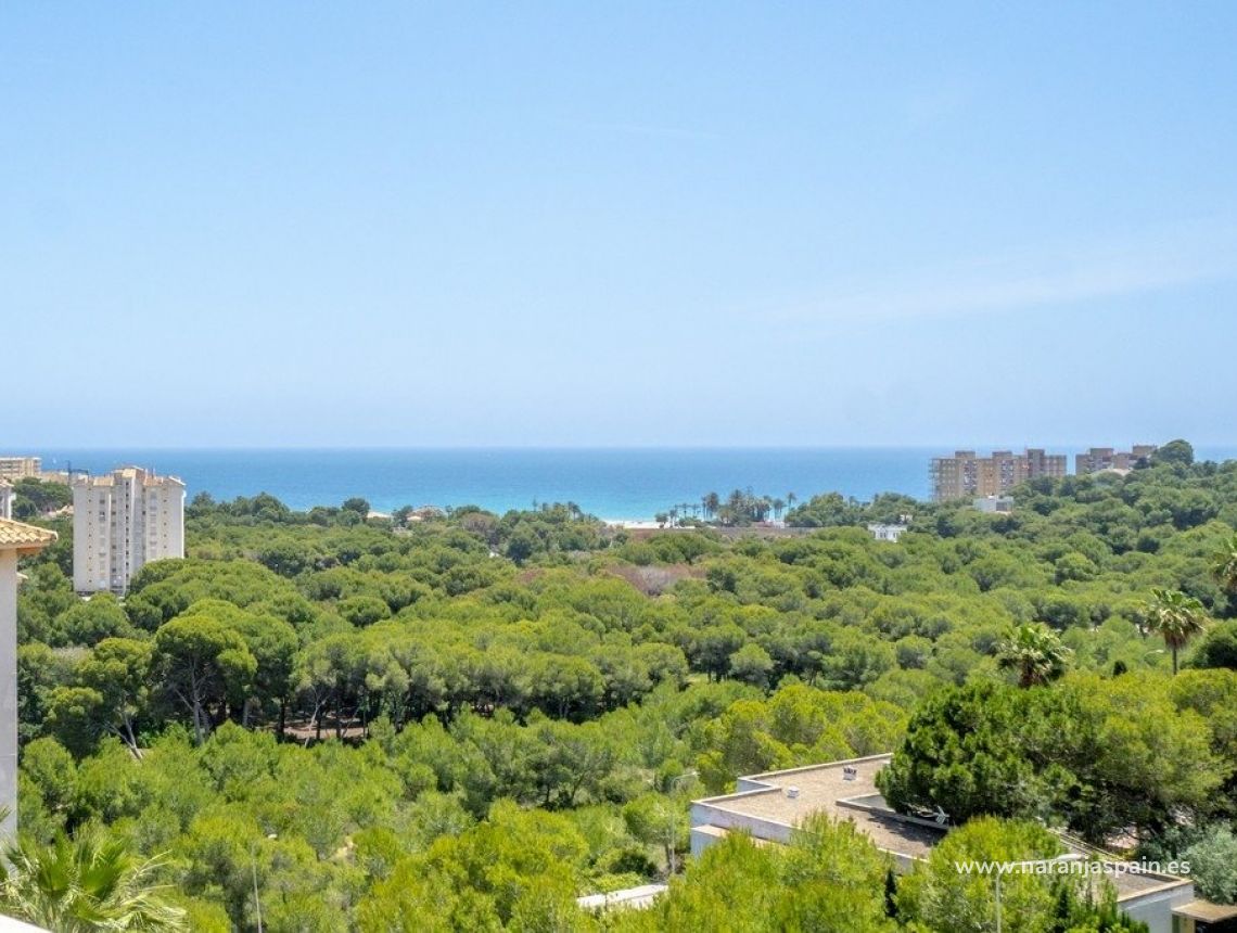 Segunda Mano - Ático - Orihuela Costa - Campoamor