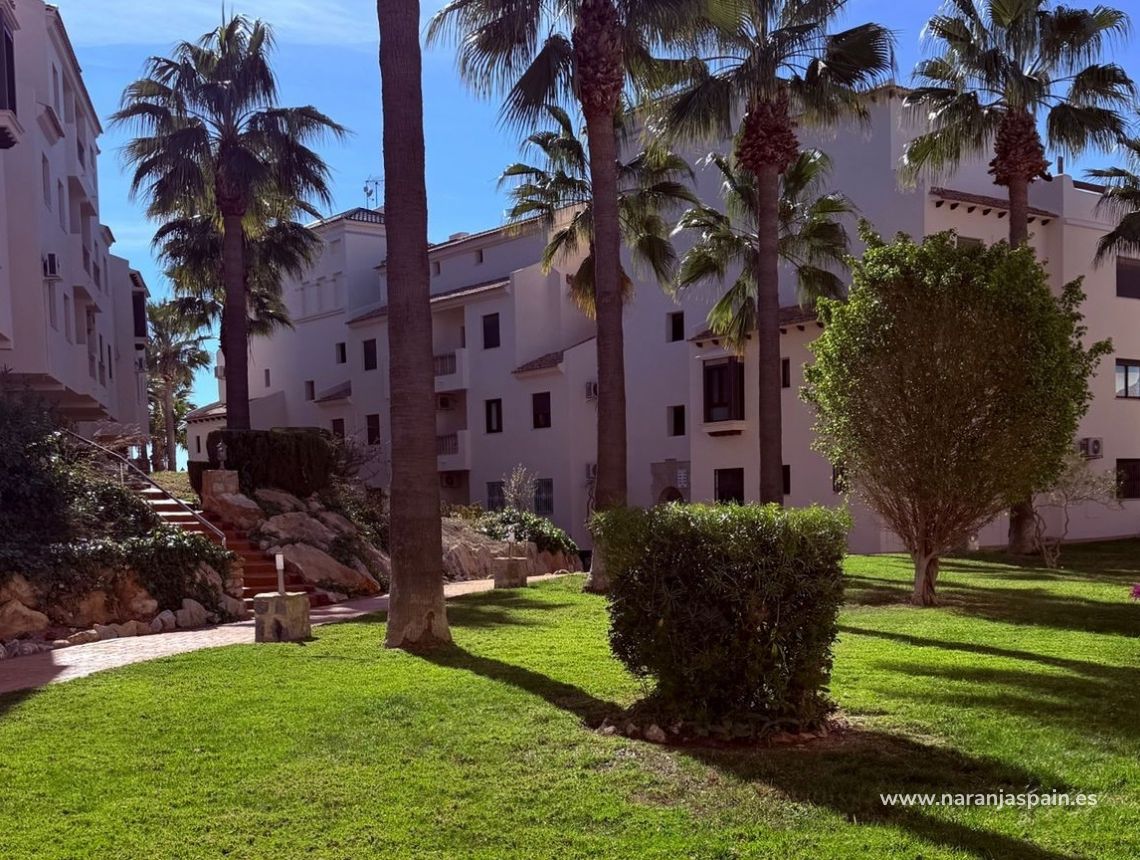 Segunda Mano - Ático - Orihuela Costa - Las Ramblas